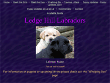 Tablet Screenshot of ledgehill-labs.com